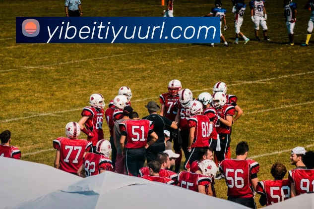 App Interface Preview